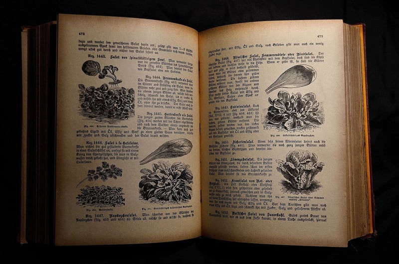 Cookbook Recommendations