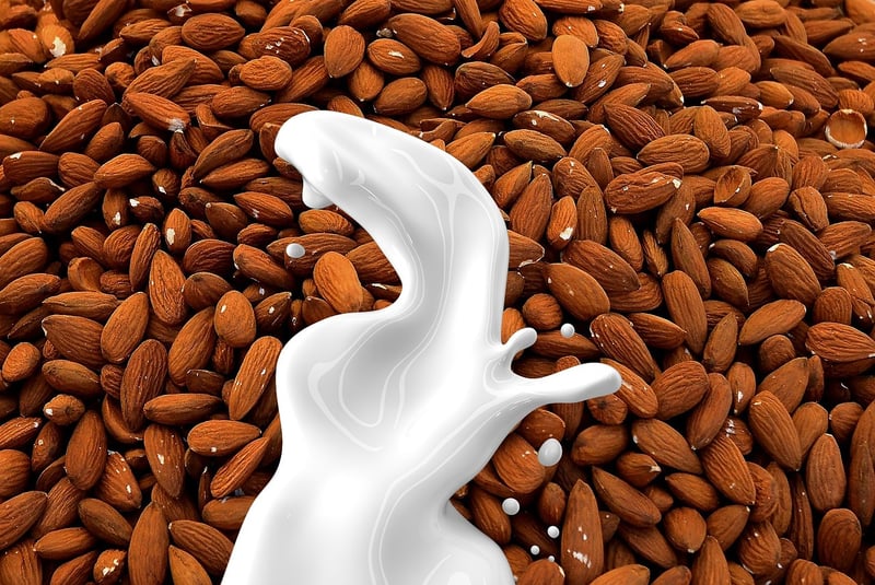 Plant-Based Alternatives